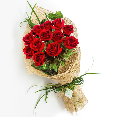 12-Long-Stem-Premium-Roses